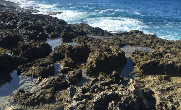 Mermaid Caves in Oahu Huwaii