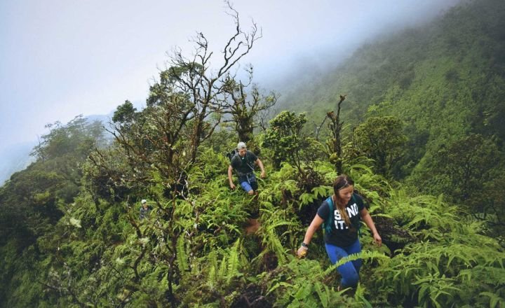  Hikes on Oahu