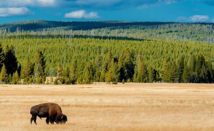 Best National Parks In The USA