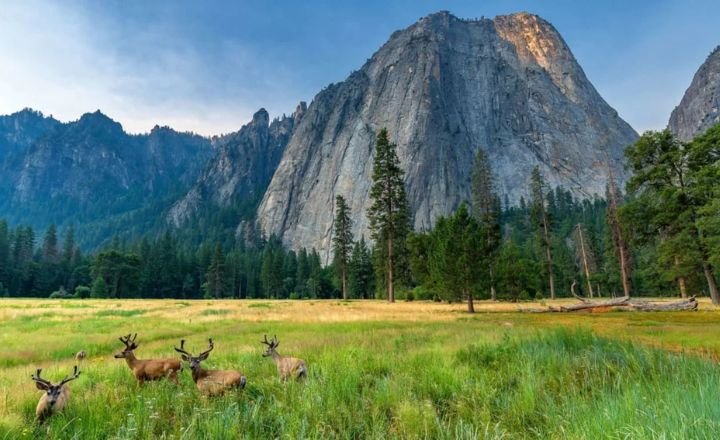 Best National Parks In The USA