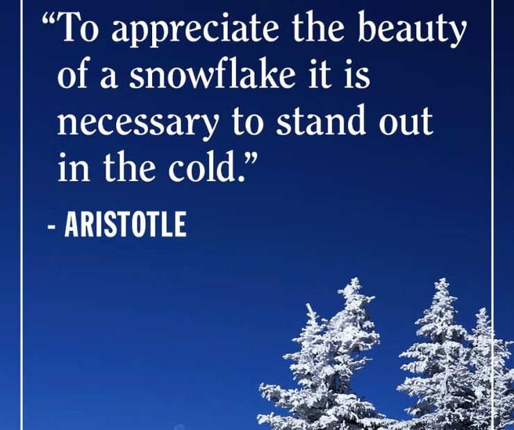 Cozy Winter Quotes